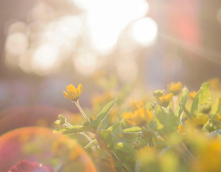 Pastoral Letter from Bishop Wayne Kirkpatrick